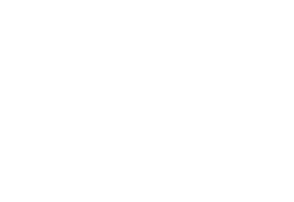 icon_009_MEWS